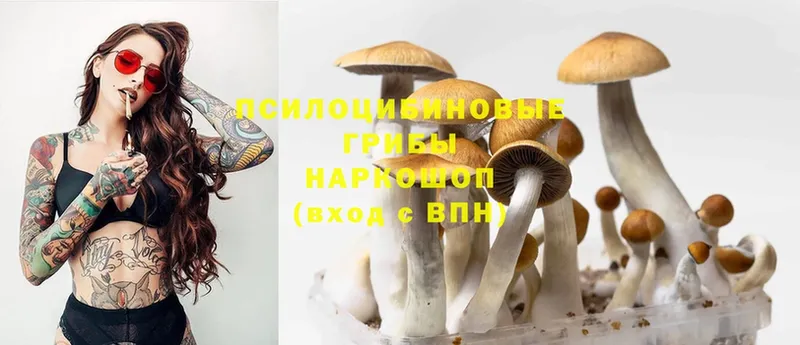 Галлюциногенные грибы Cubensis  где купить наркотик  Козловка 